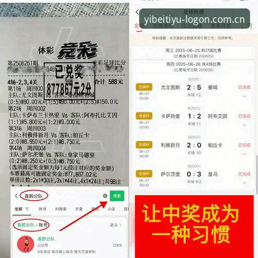 易倍体育用户评价 易倍体育平台深度评测:用户郑涛的实战体验与全面分析