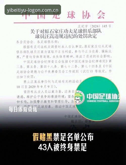 易倍体育可靠吗 中国足协第三批禁足名单深度解读:从处罚看足球生态治理完整指南